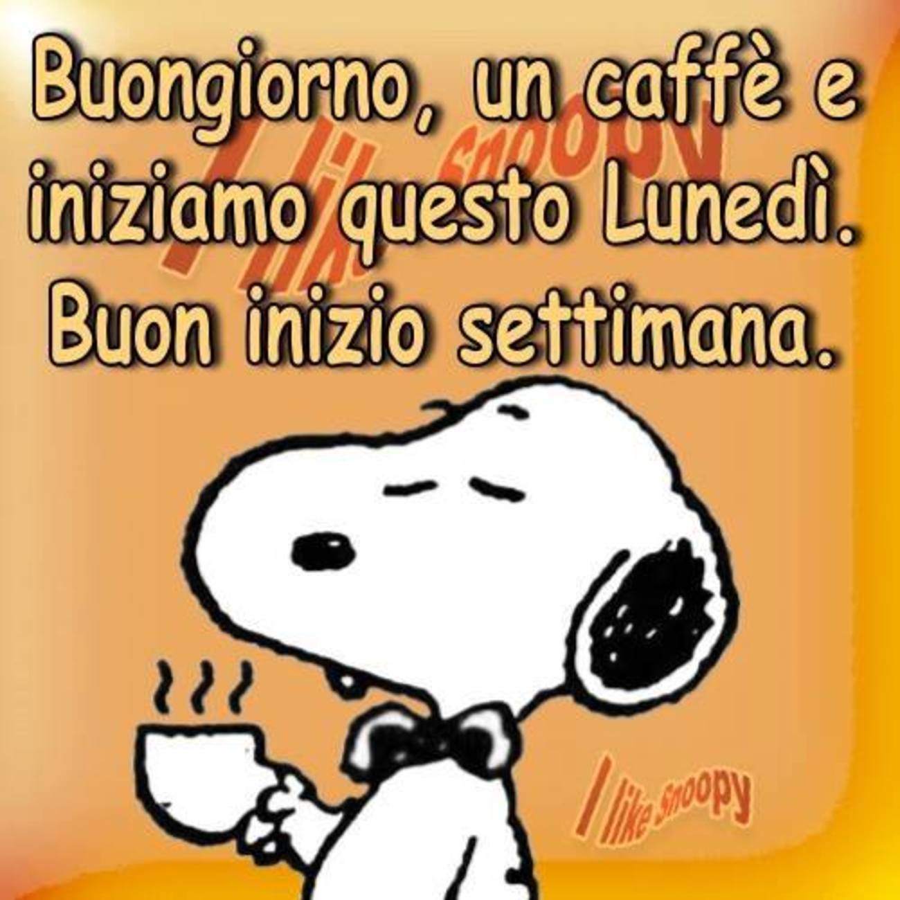 Bellissimo buongiorno con Snoopy (3)