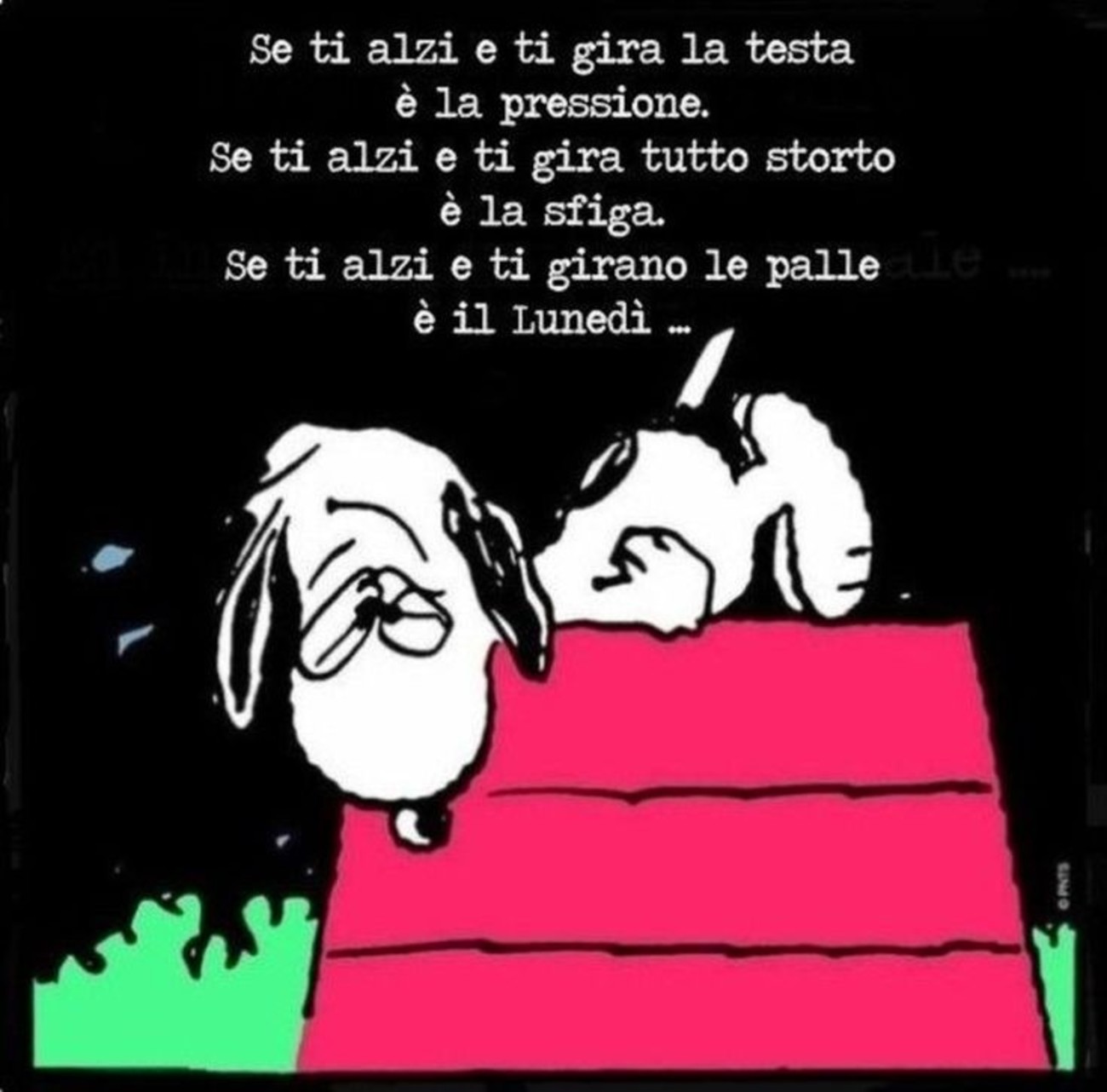 Bellissimo buongiorno con Snoopy (4)