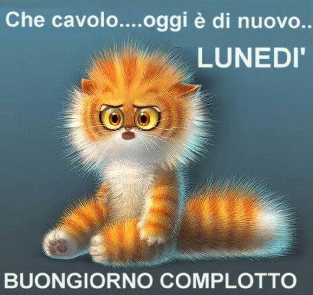 Buffo buon lunedì da mandare agli amici