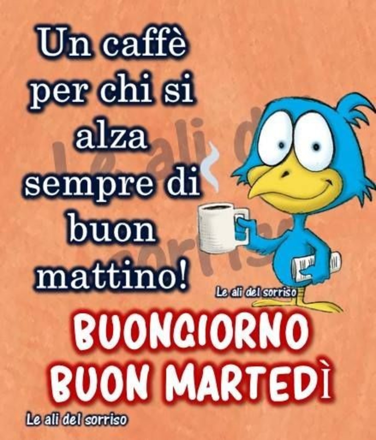 Buffo buon martedì con animali