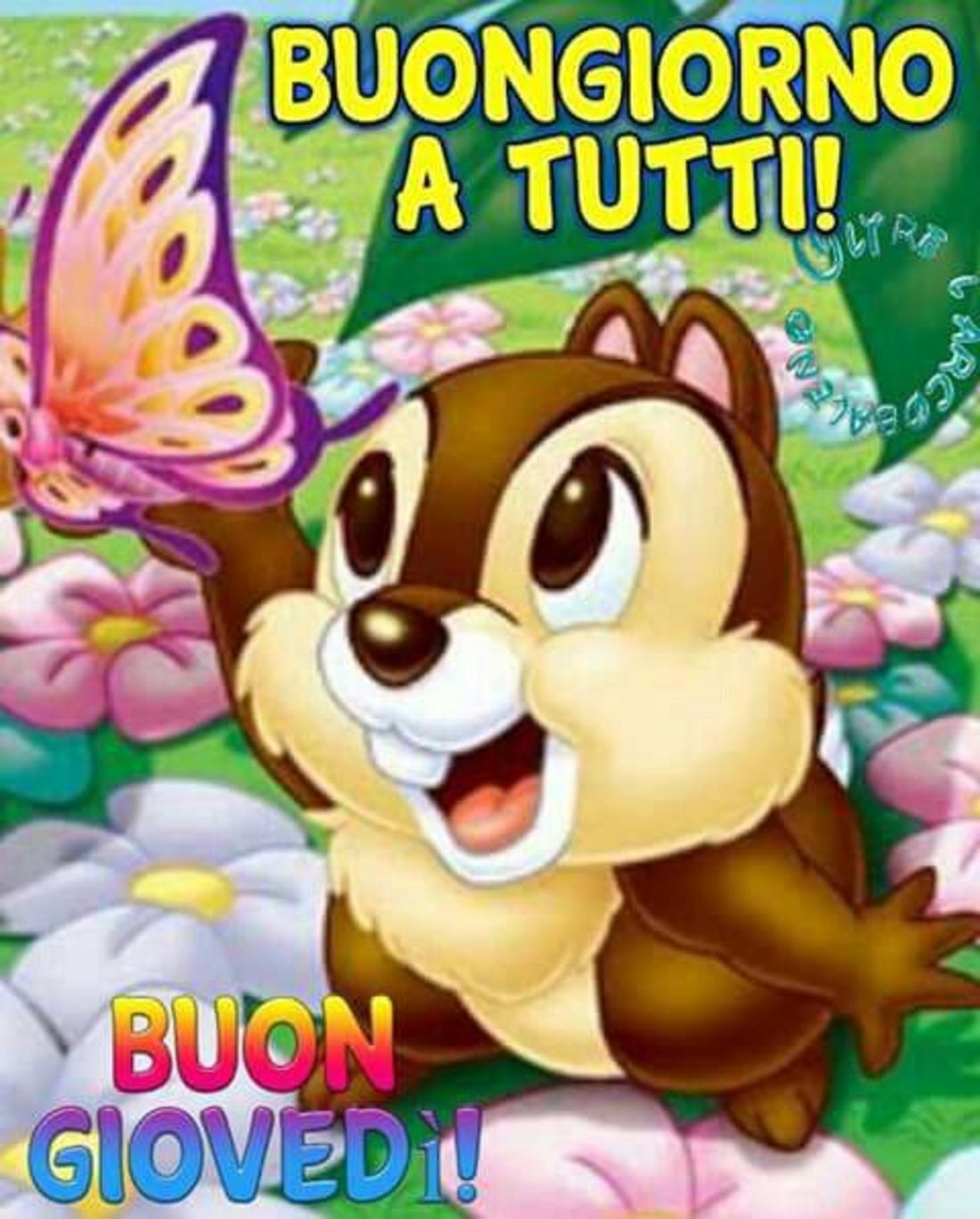 Buon giovedì a tutti (4)