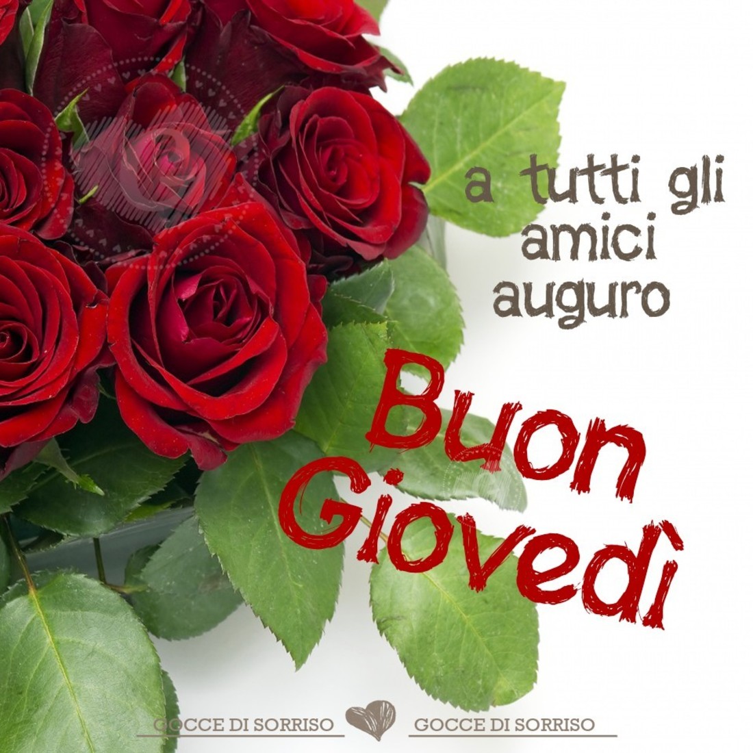 Buon giovedì a tutti i miei amici