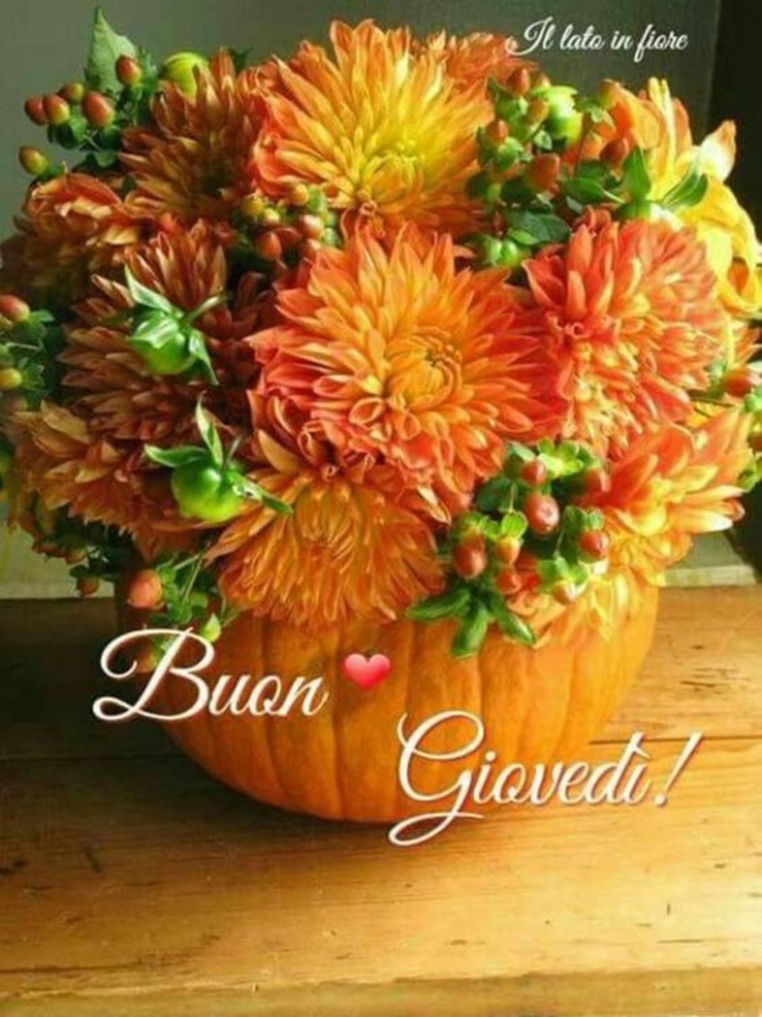 Buon giovedì amici (2)