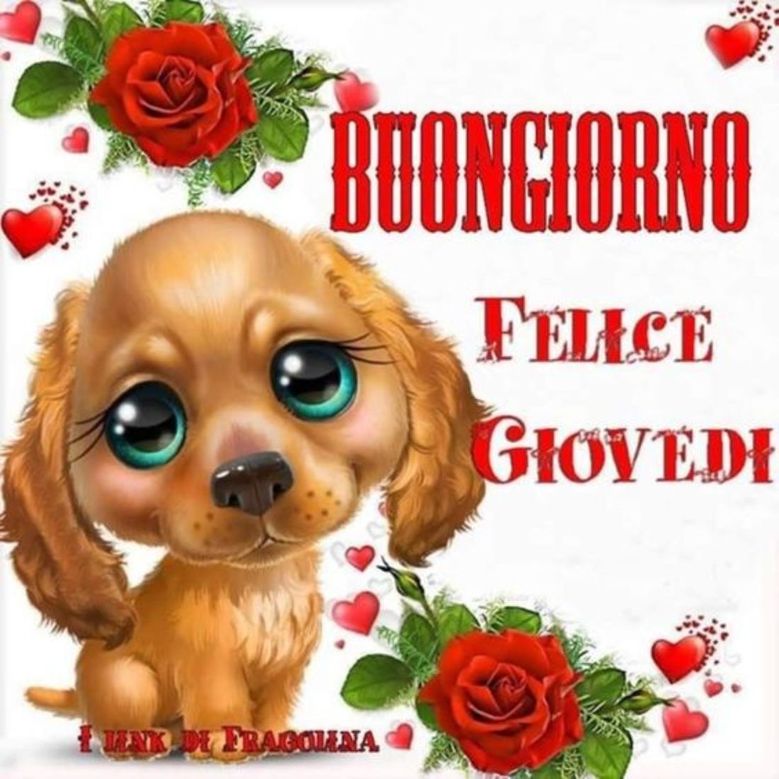 Buon giovedì con cani (1)