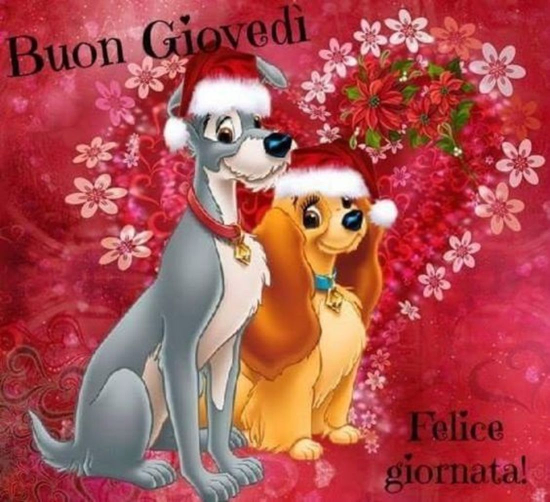 Buon giovedì con cani (4)