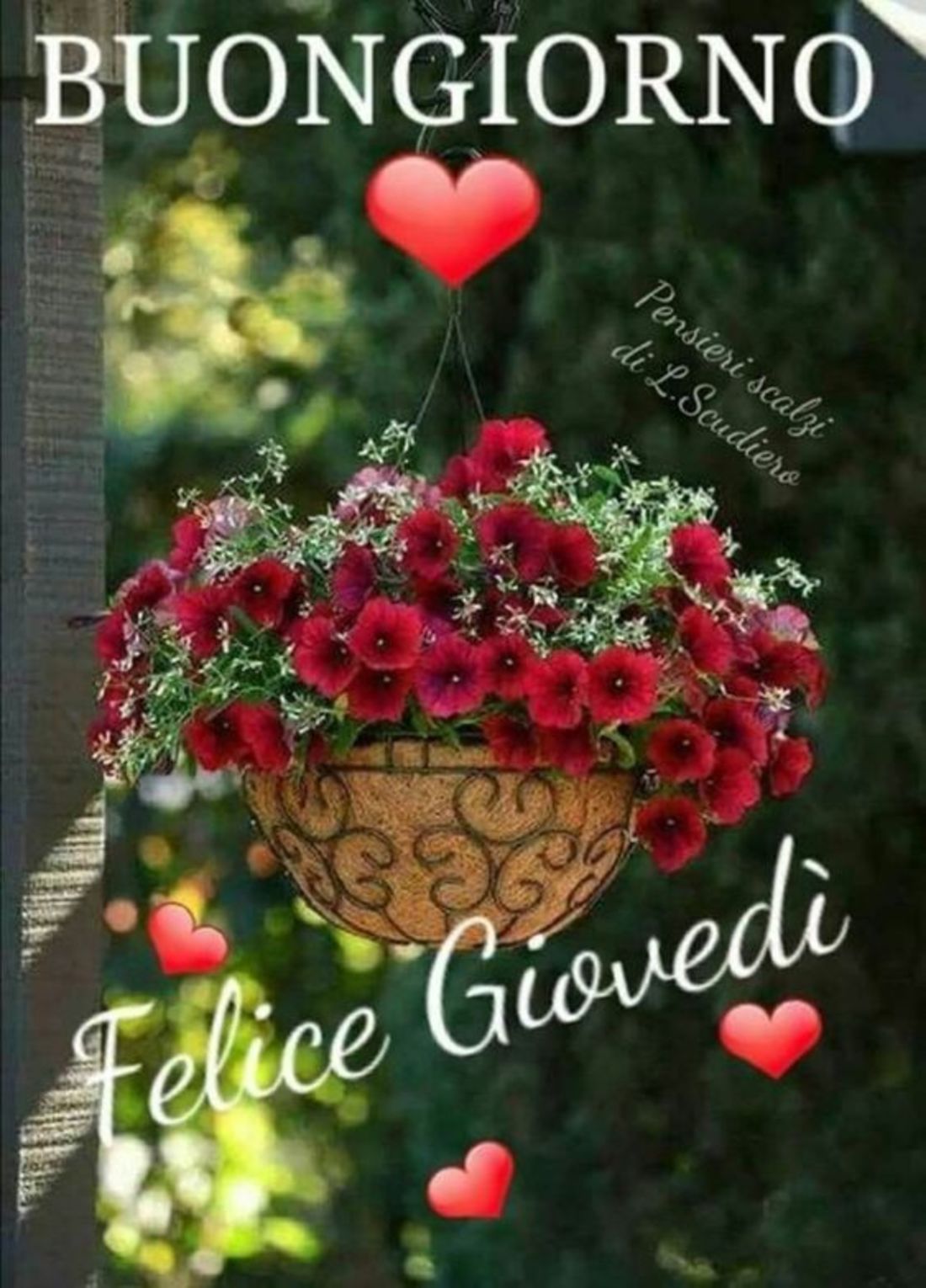 Buon giovedì con fiori (6)