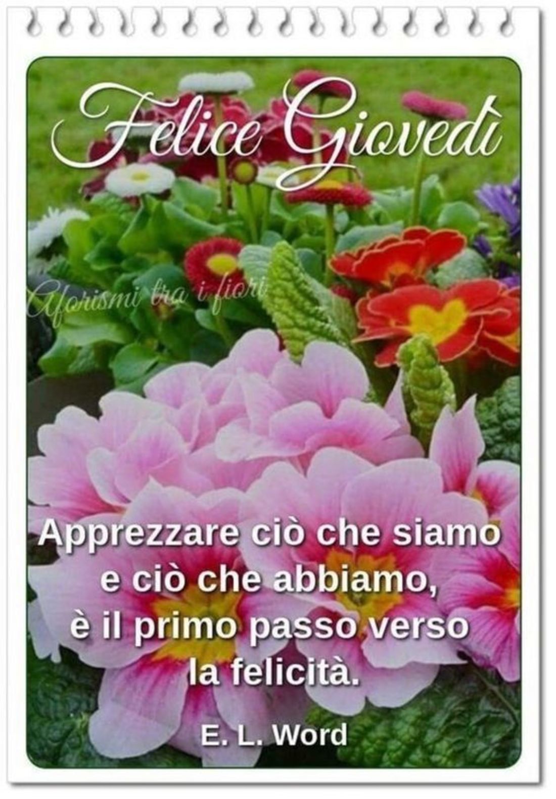 Buon giovedì con fiori