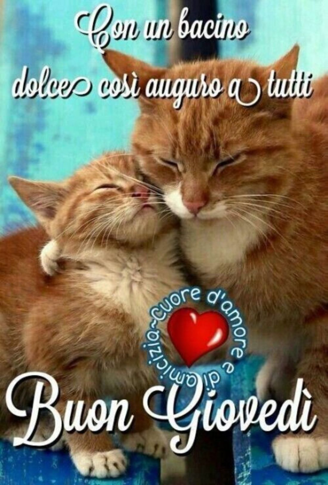 Buon giovedì con gatti