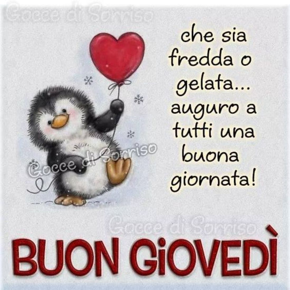 Buon giovedì immagini con animali (4)