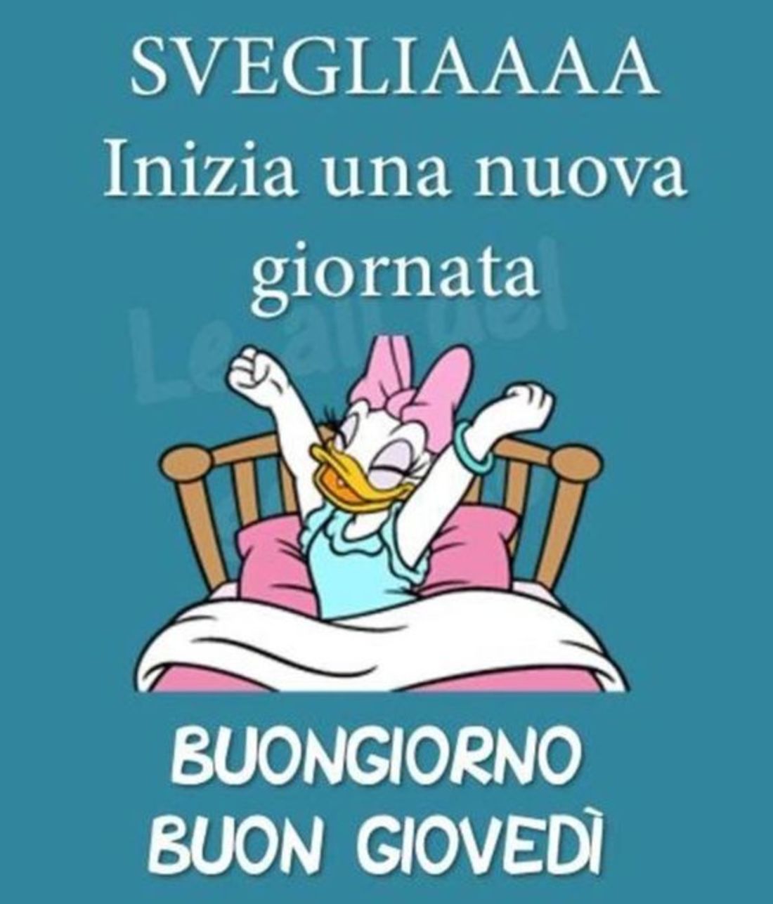 Buon inizio di giornata e buon giovedì