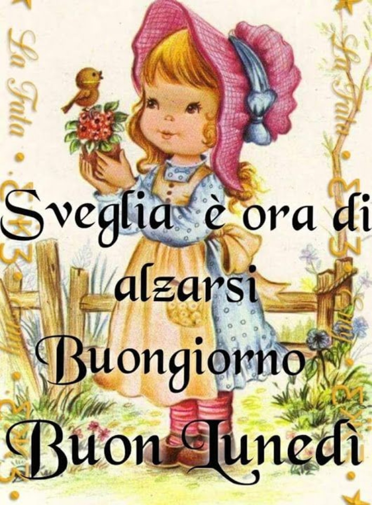 Buon lunedì a tutti (3)