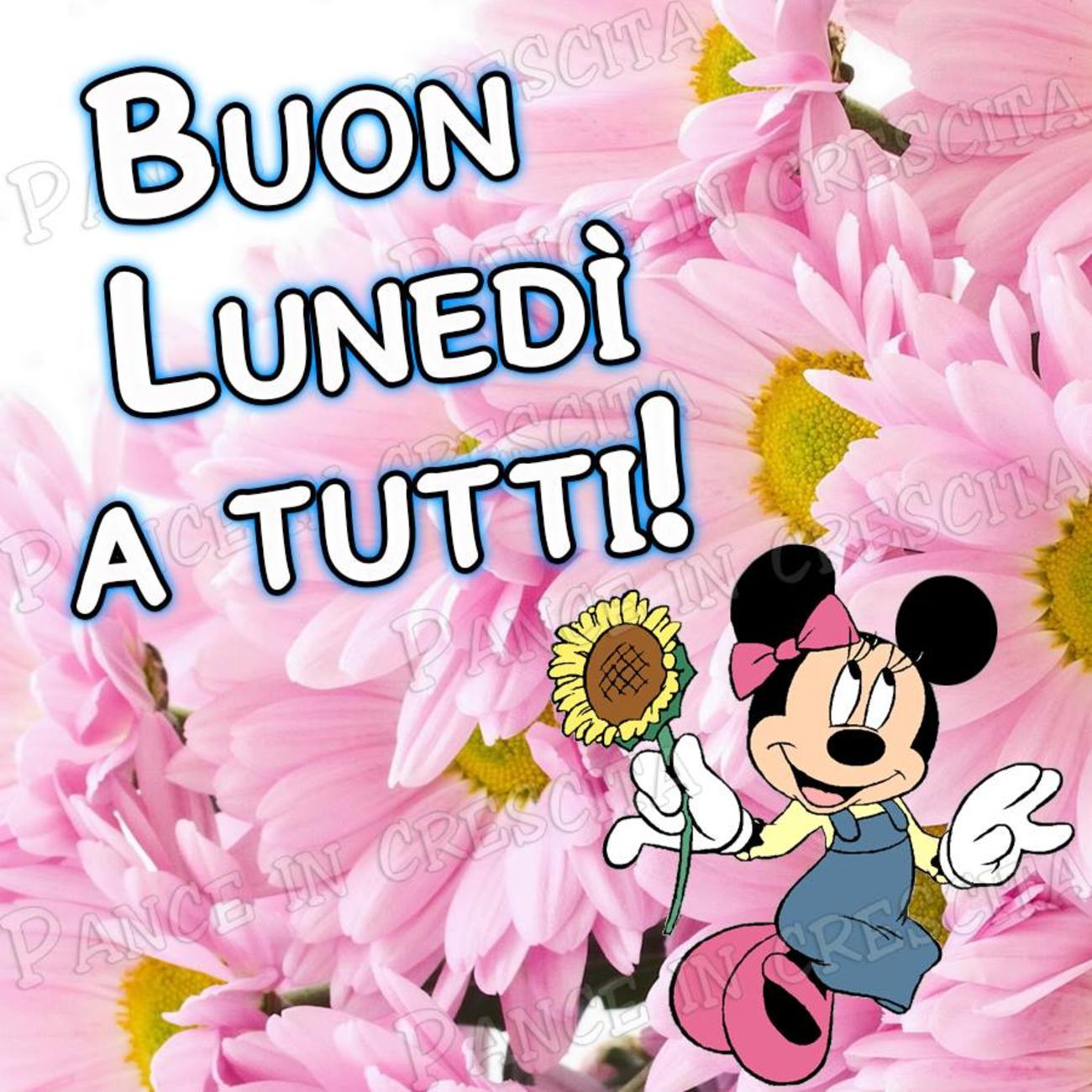 Buon lunedì a tutti (5)