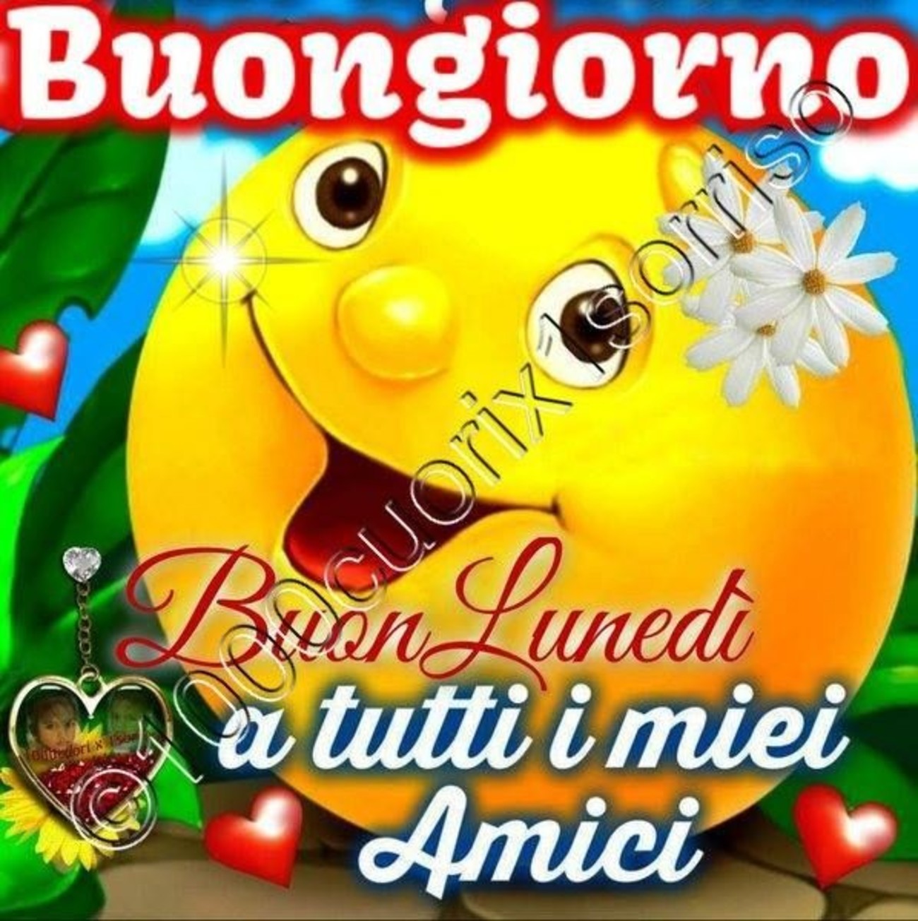 Buon lunedì ai miei amici (3)