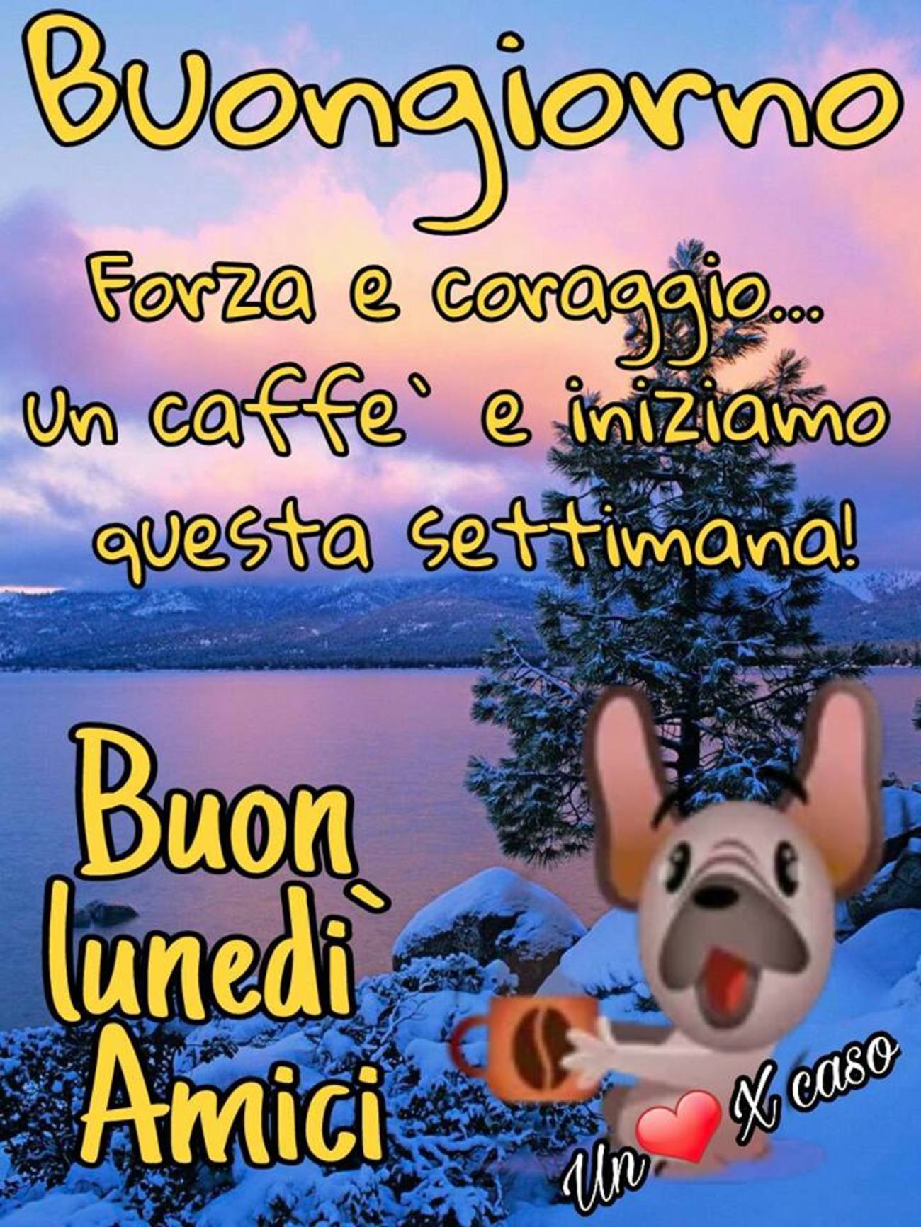 Buon lunedì amici (2)