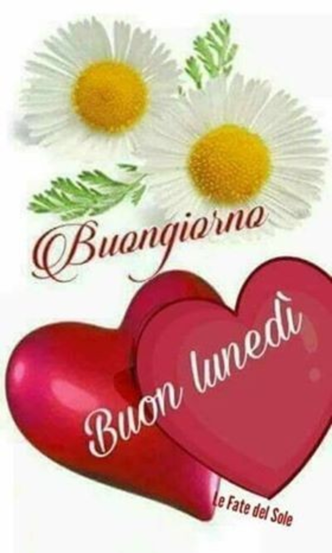 Buon lunedì amore