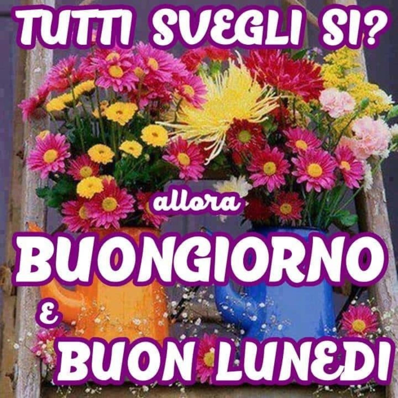 Buon lunedì belle immagini (2)