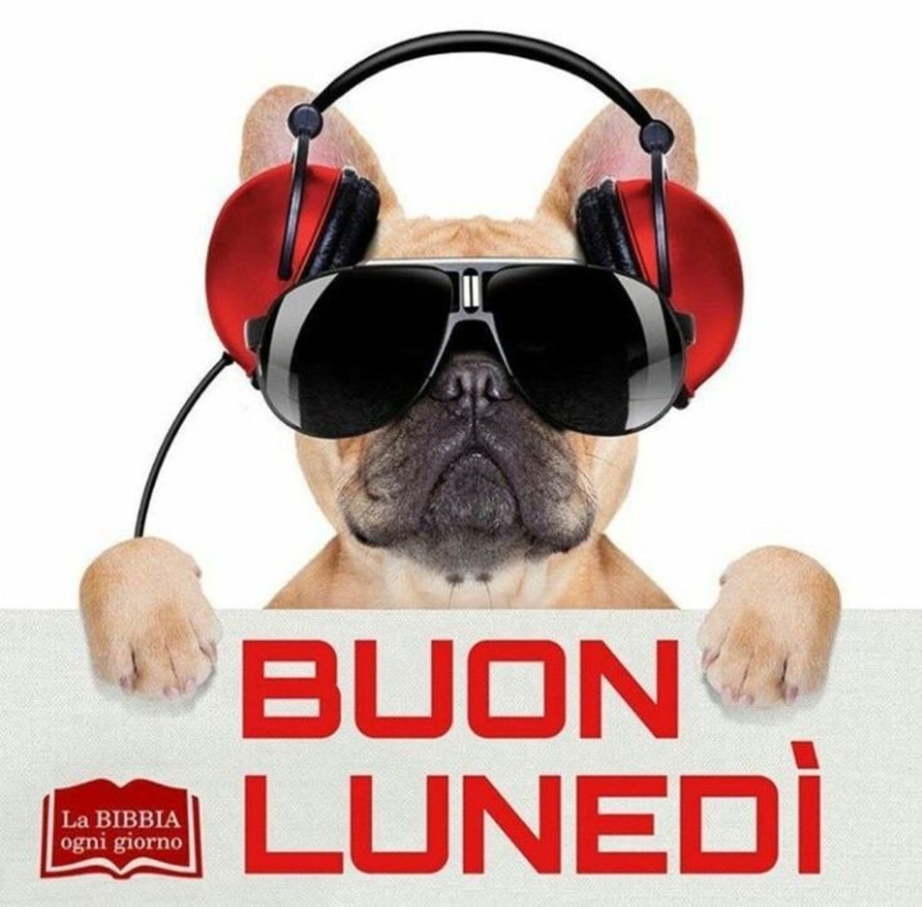 Buon lunedì buffo da mandare