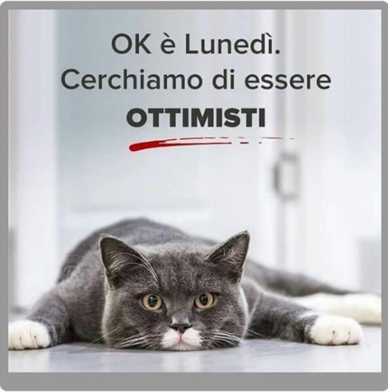 Buon lunedì buffo