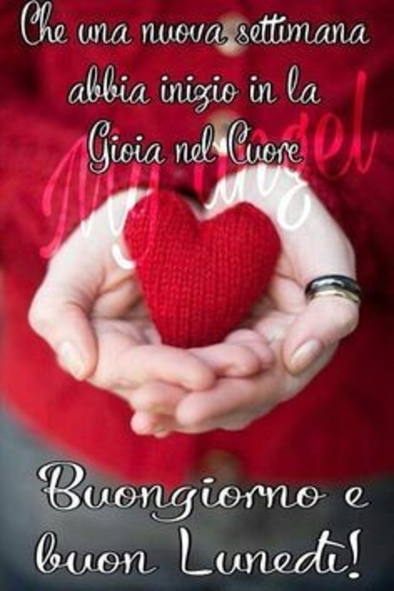 Buon lunedì con amore (3)