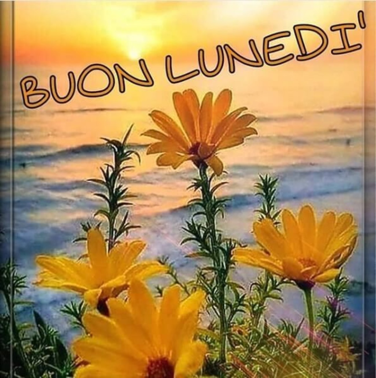 Buon lunedì con bei fiori (1)