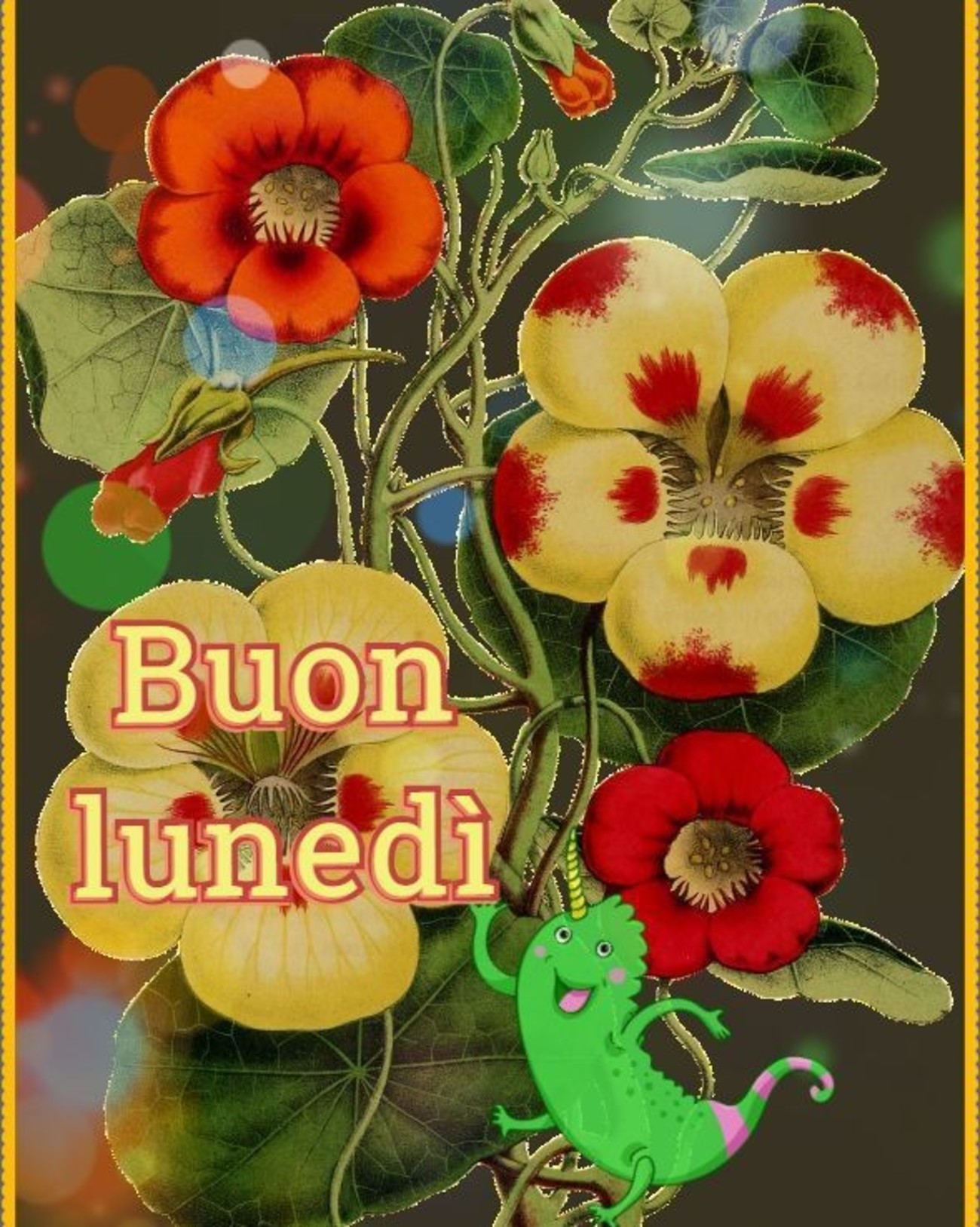 Buon lunedì con bei fiori (2)