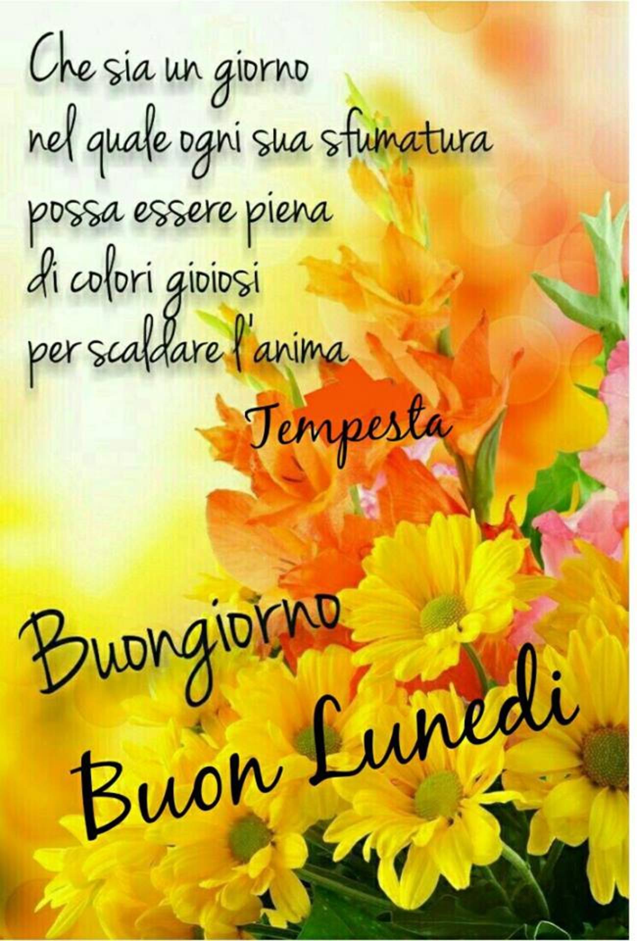 Buon lunedì con bellissima frase