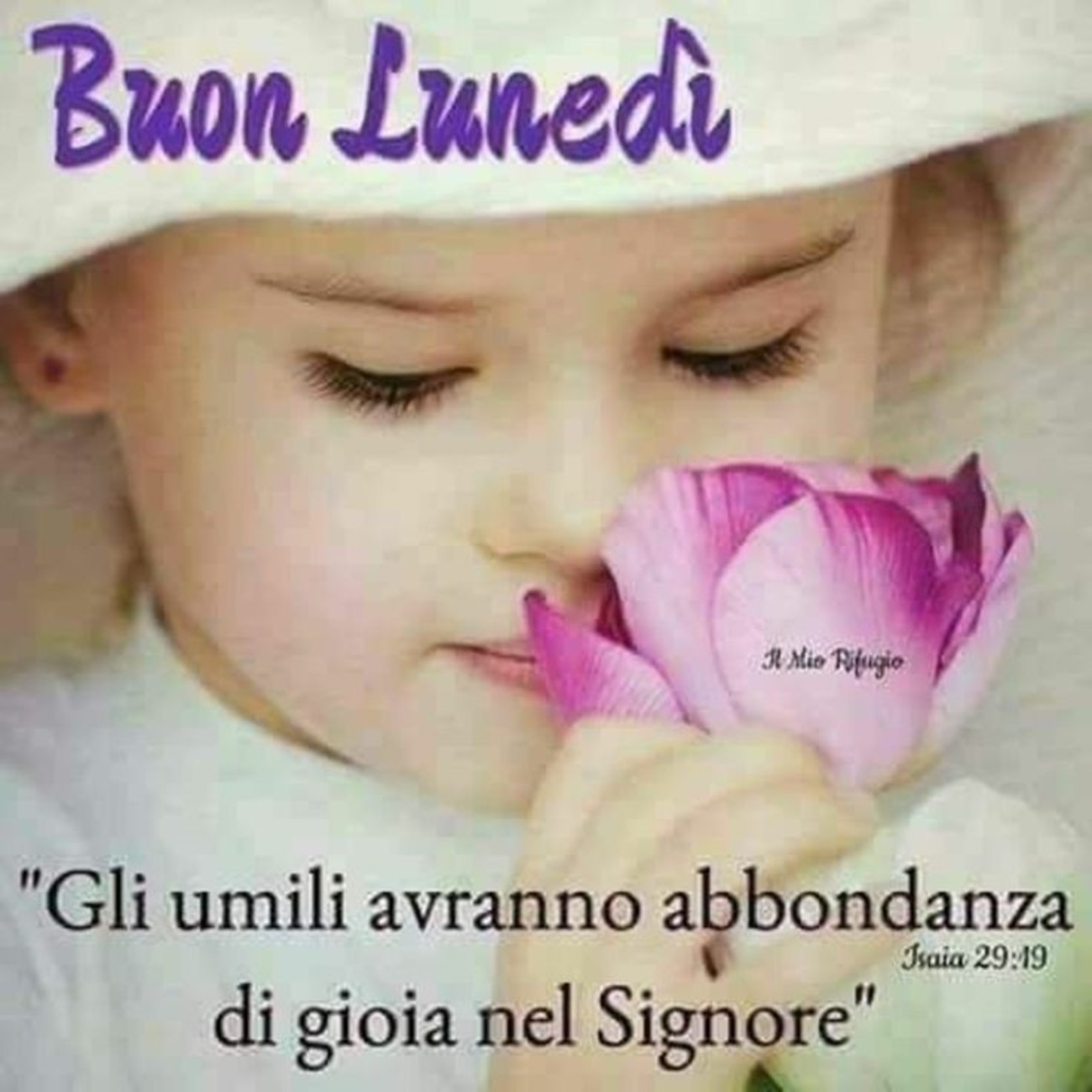 Buon lunedì con bimbi (3)