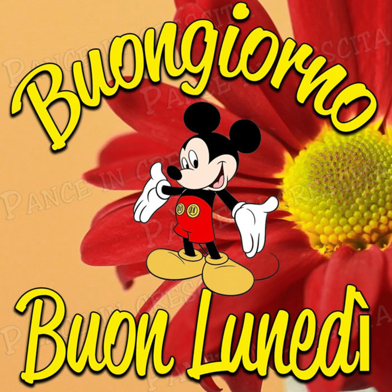 Buon lunedì con topolino (2)