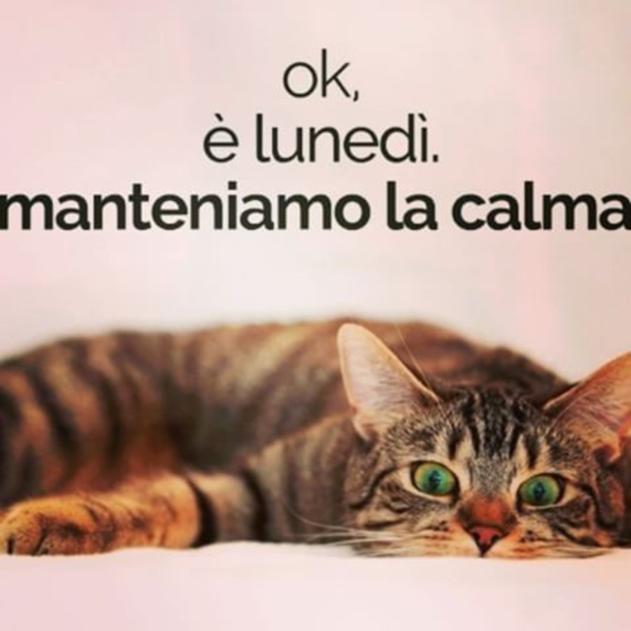 Buon lunedì da ridere (2)