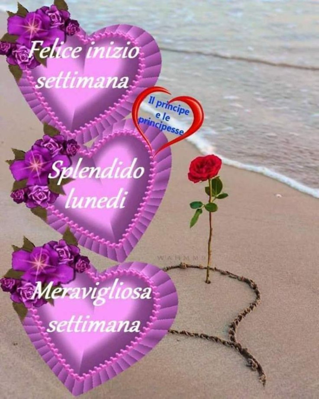 Buon lunedì d