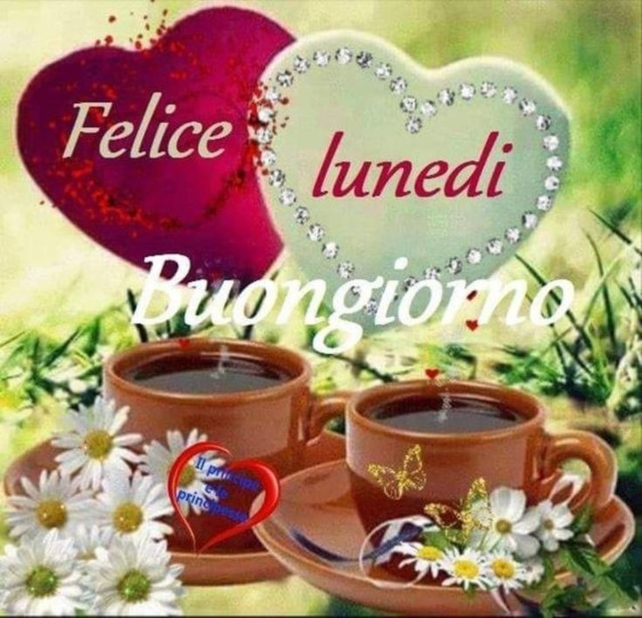 Buon lunedì d