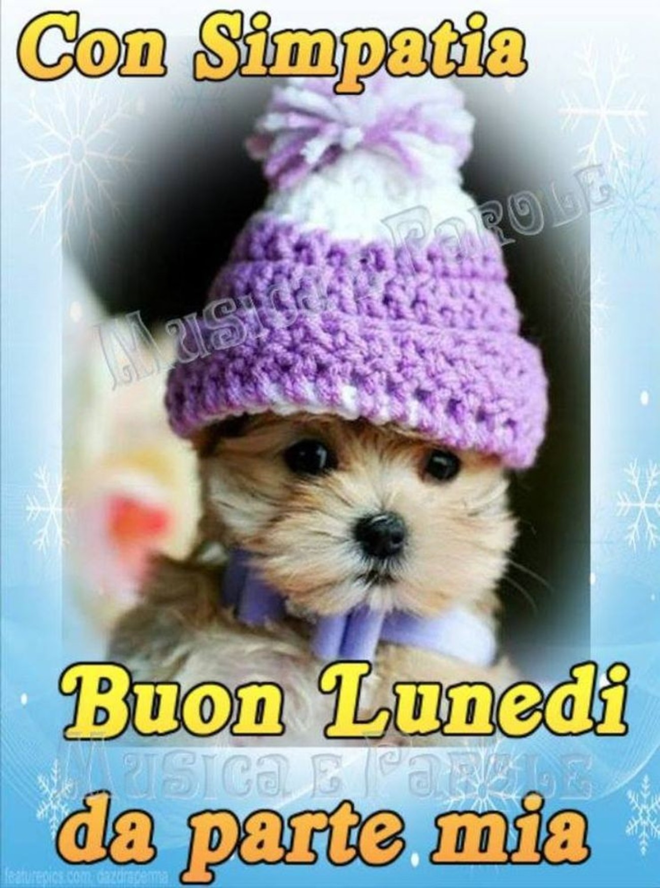 Buon lunedì spiritoso con il freddo