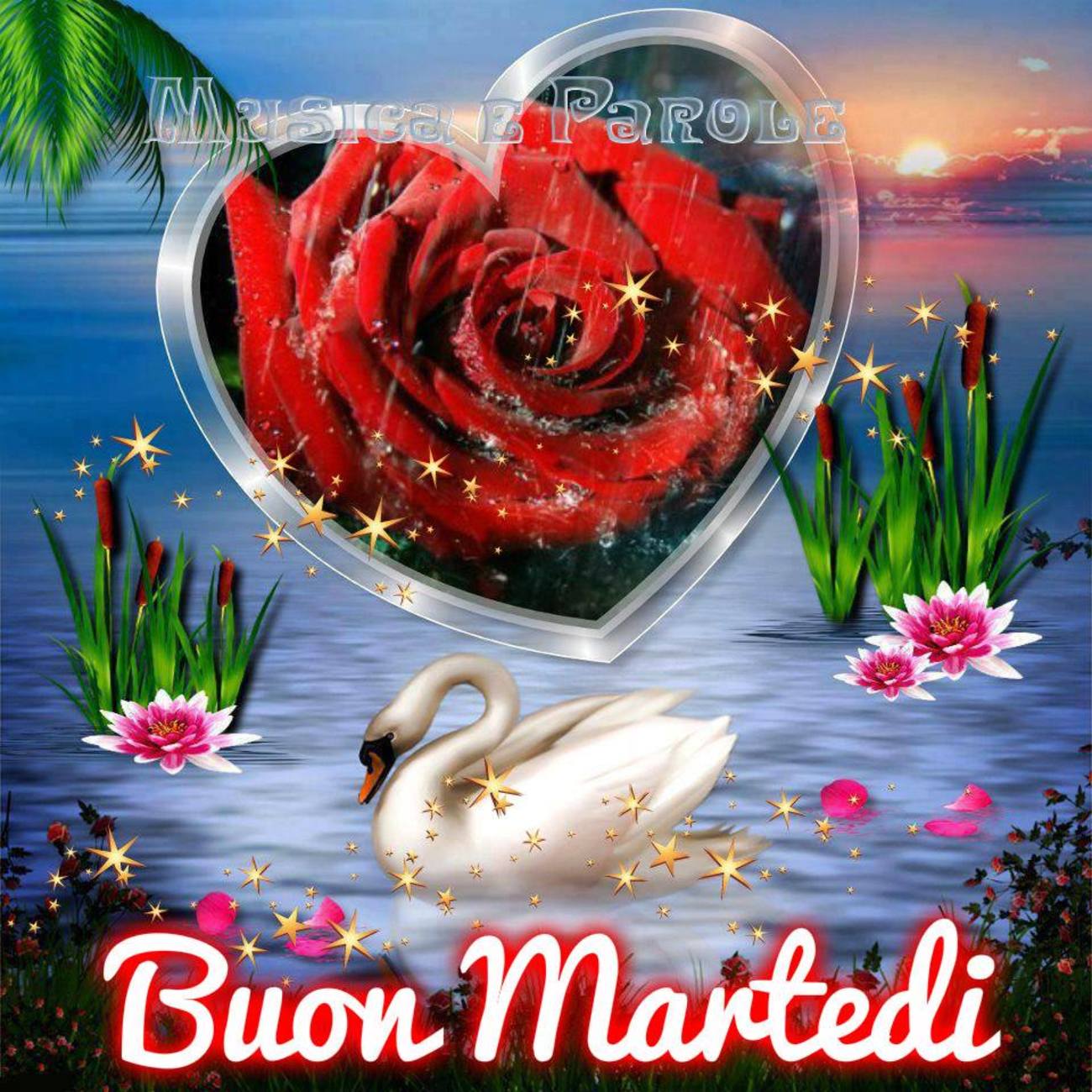Buon martedì (2)
