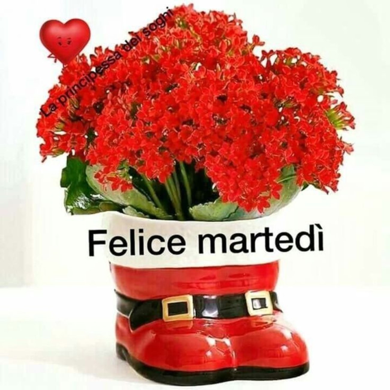 Buon martedì a te (2)