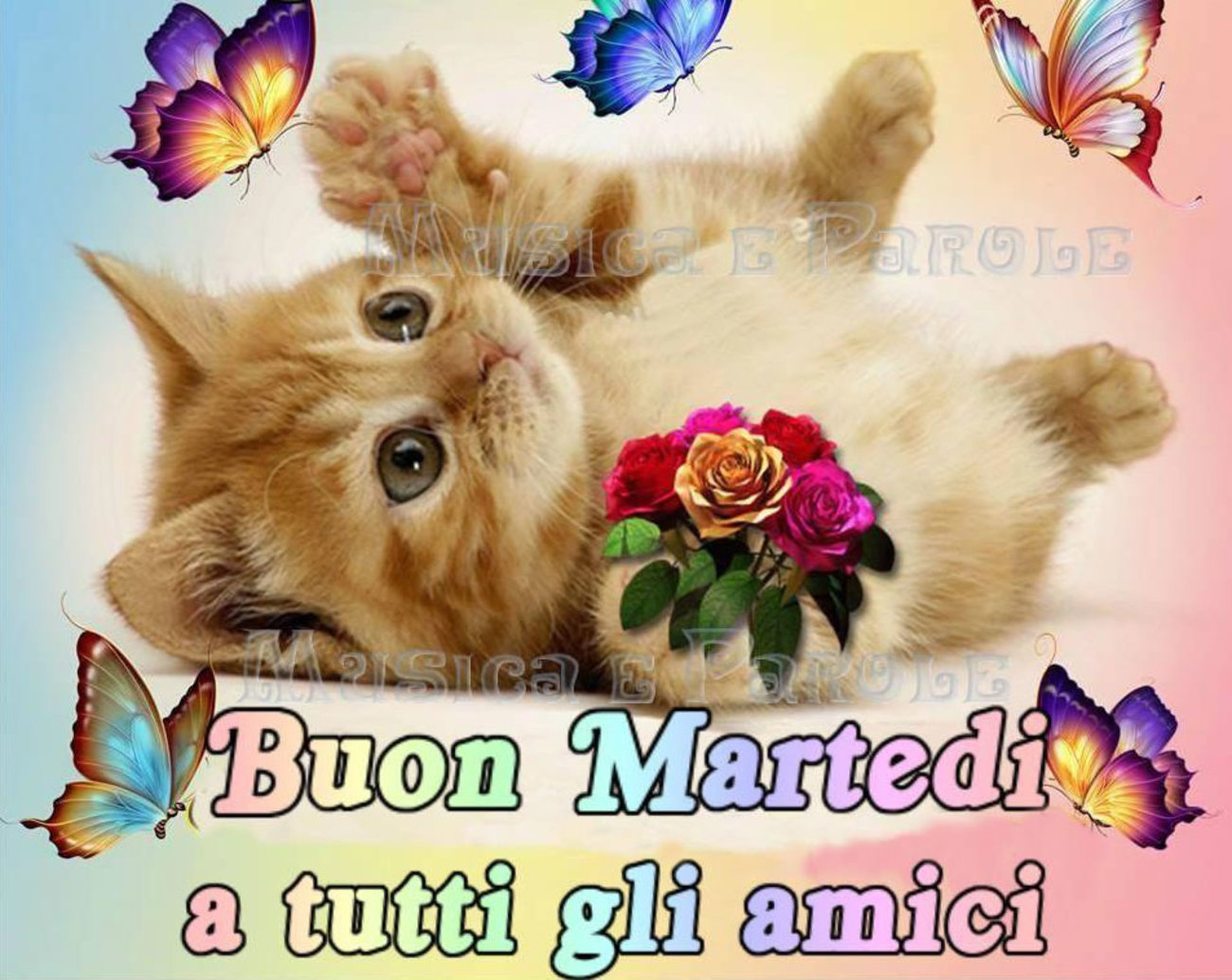 Buon martedì a tutti gli amici