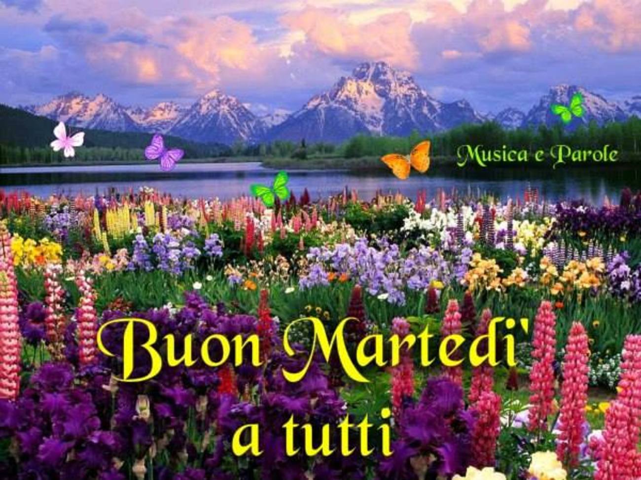 Buon martedì bella immagini per facebook