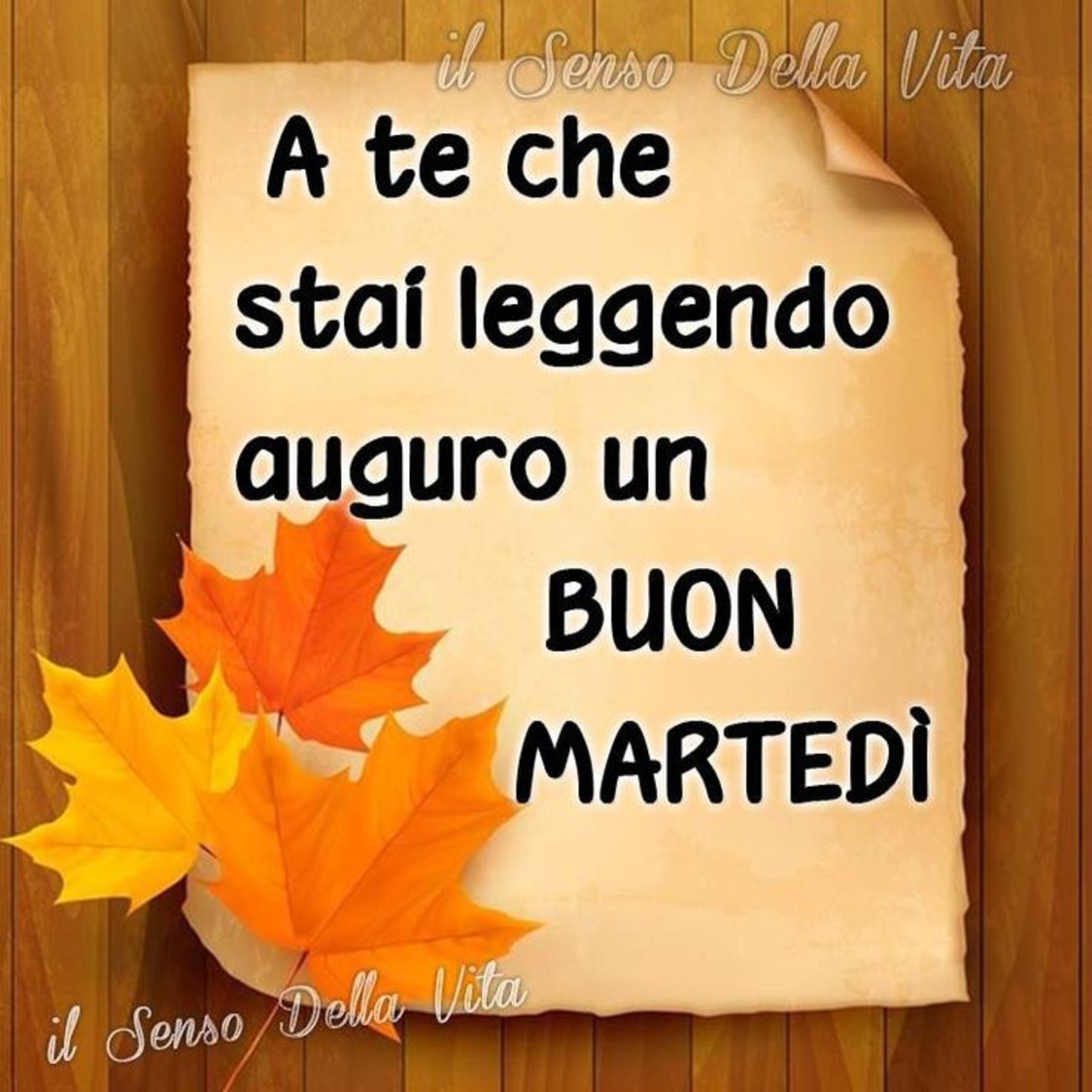 Buon martedì belle frasi da condividere