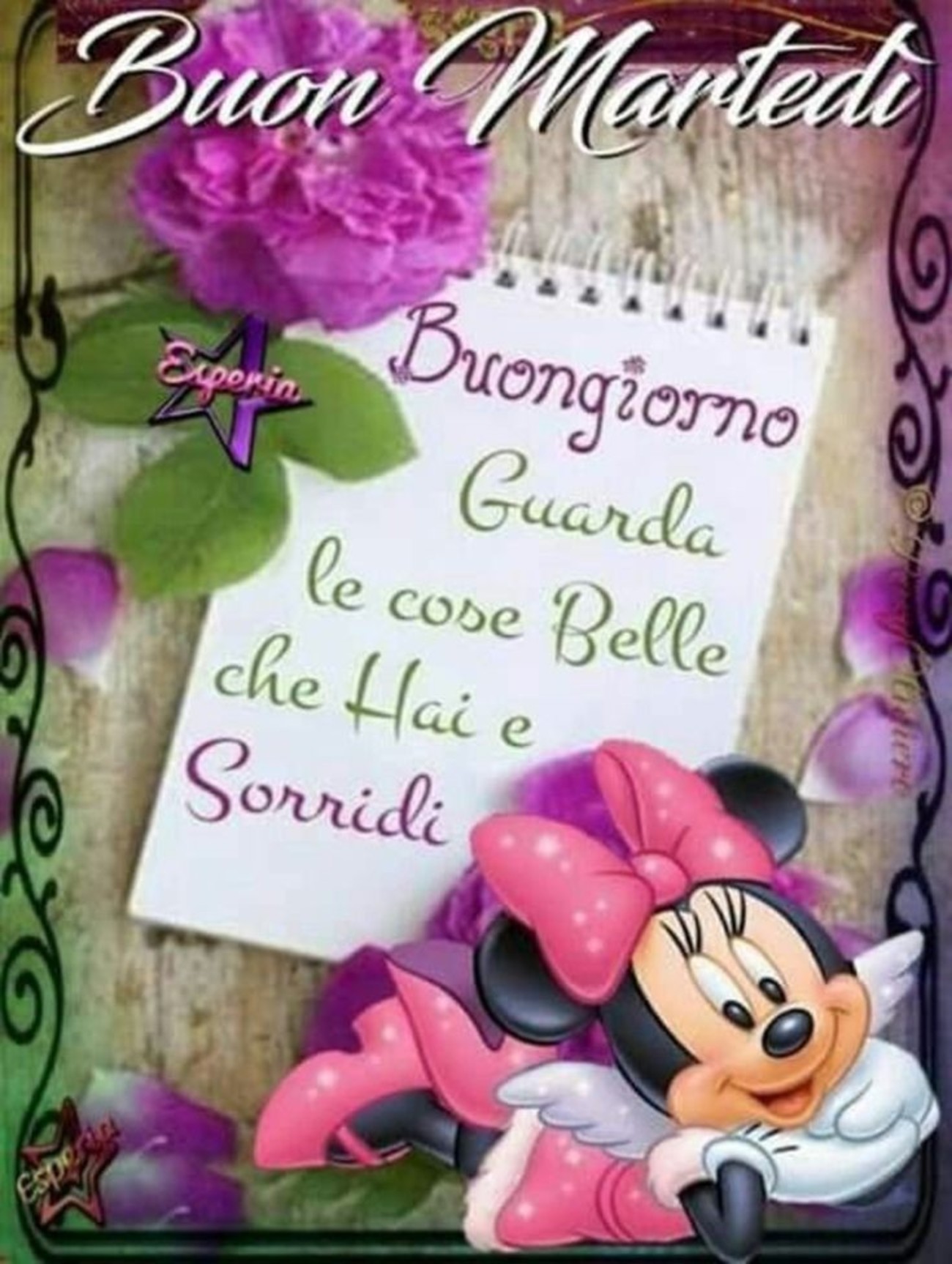 Buon martedì belle frasi