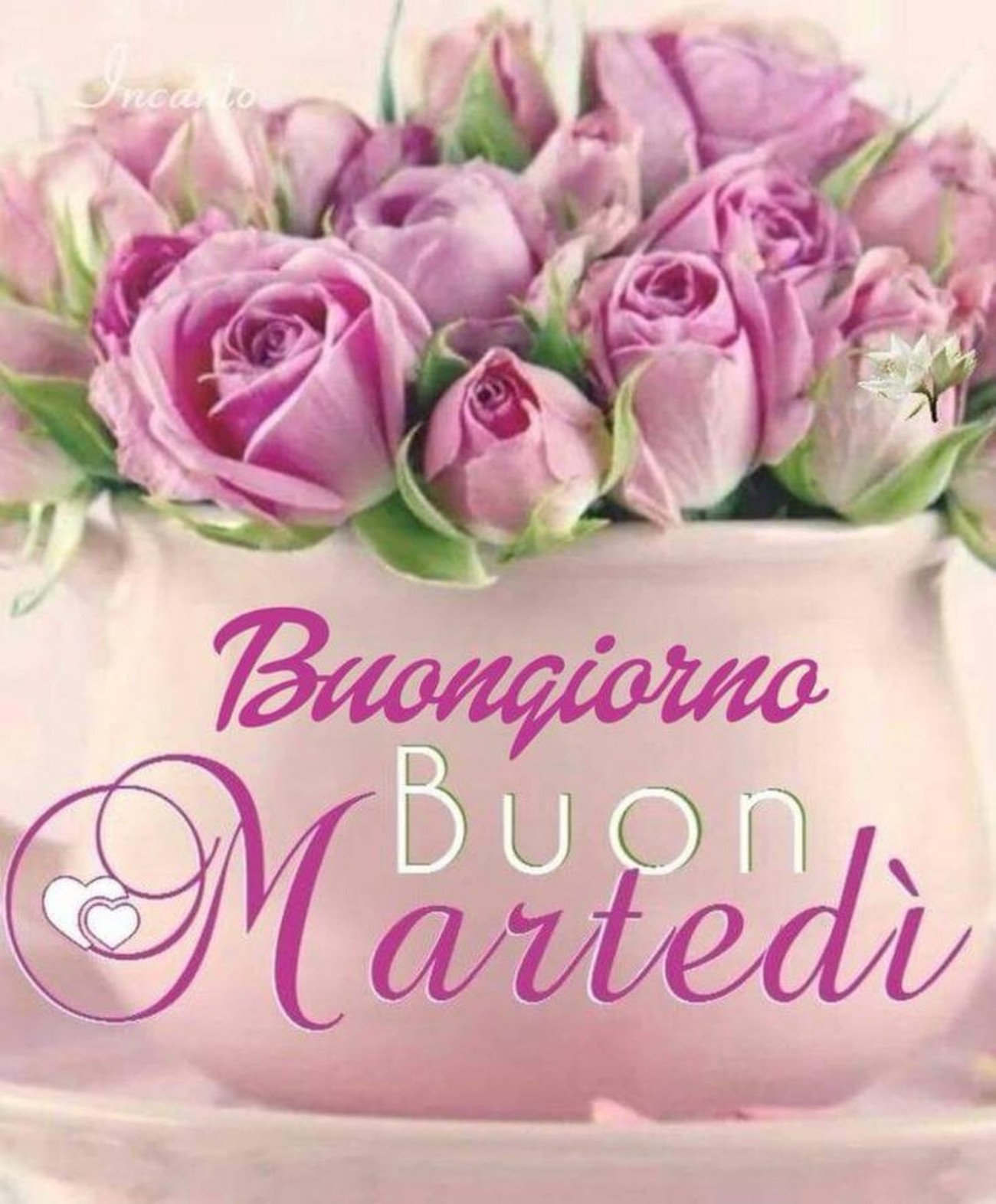 Buon martedì belle immagini con fiori