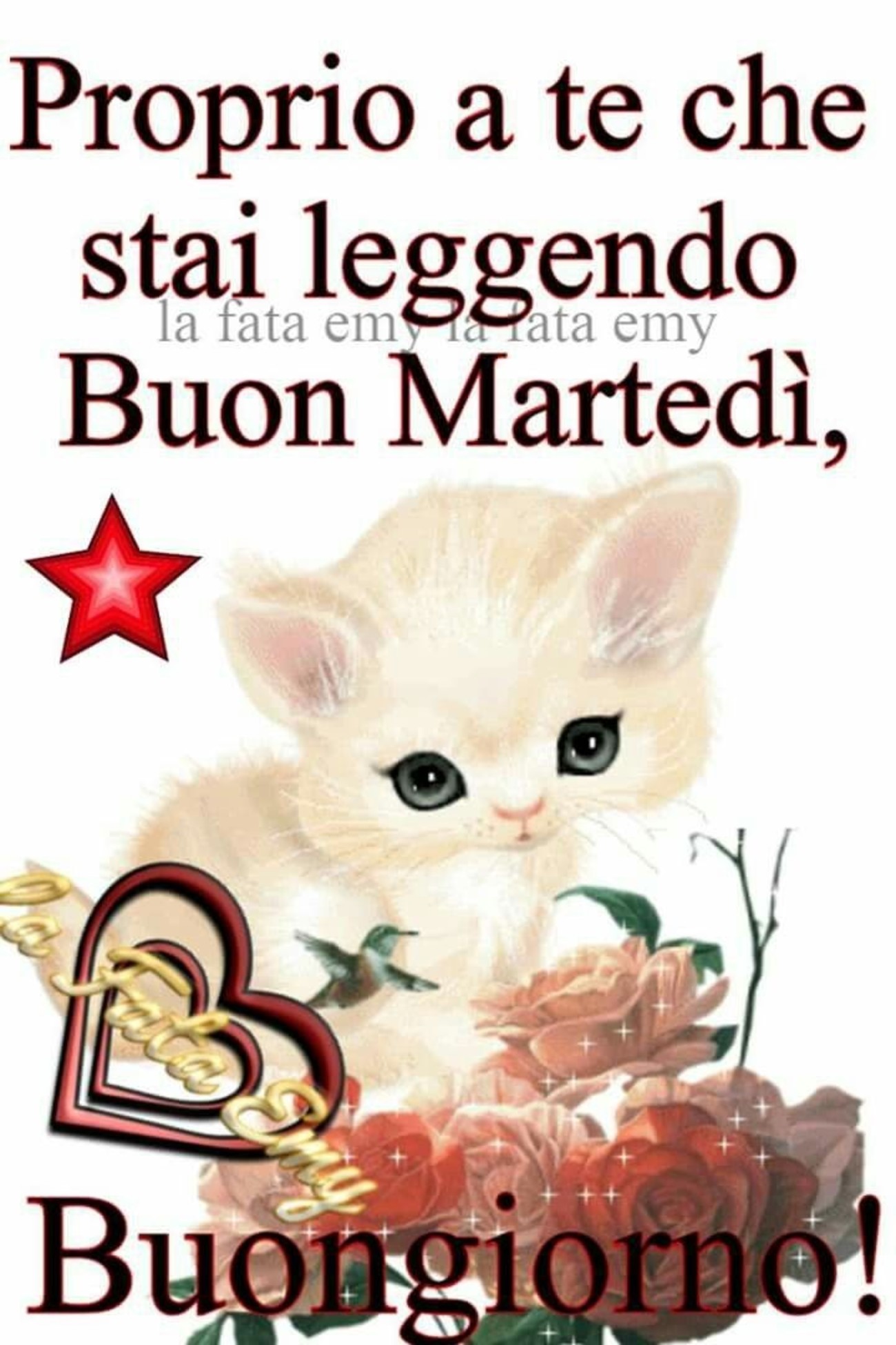 Buon martedì belle immagini di animali