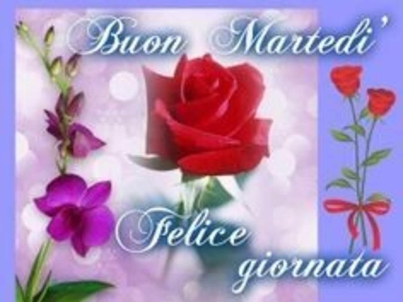 Buon martedì belle immagini per whatsapp (2)