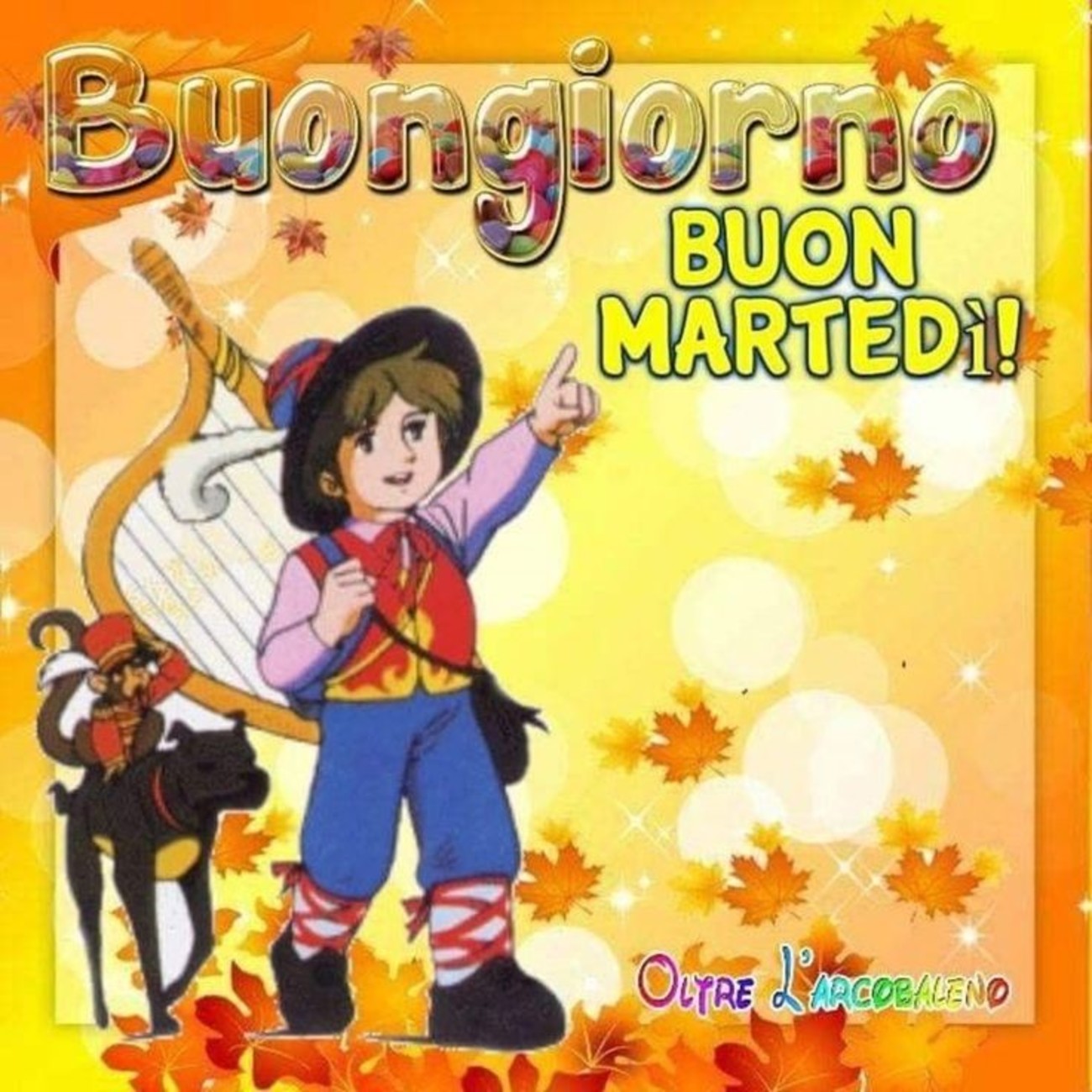 Buon martedì belle immagini per whatsapp