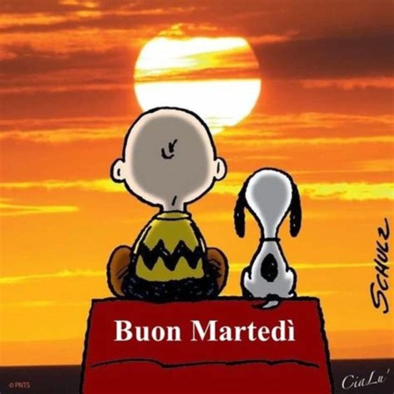 Buon martedì con Snoopy (2)