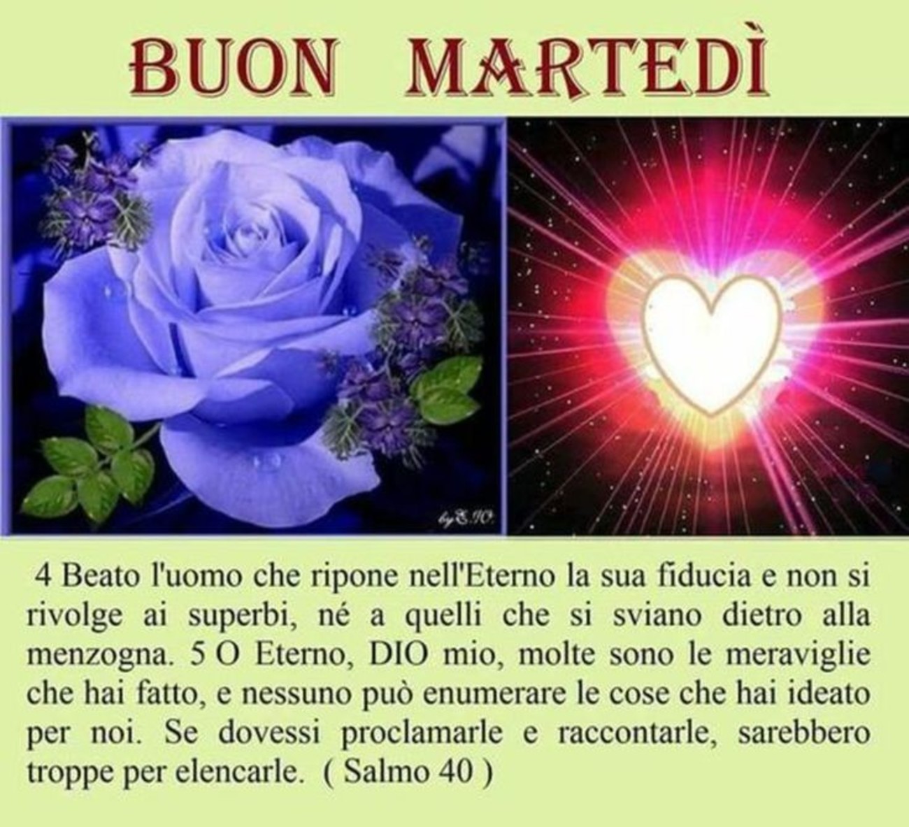 Buon martedì con amore (2)