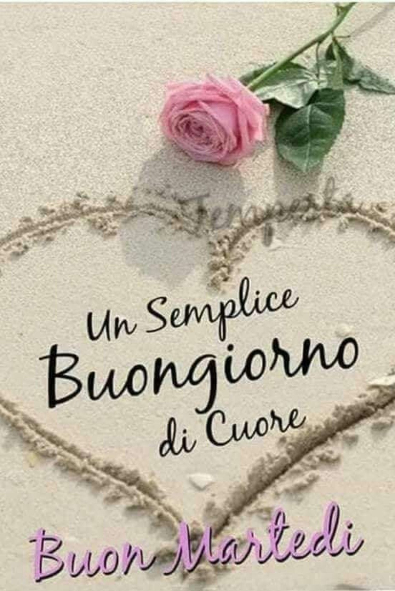 Buon martedì con amore (3)