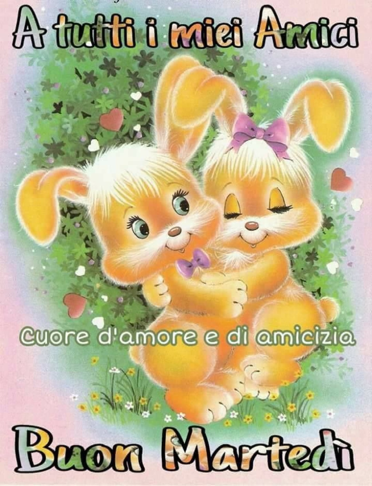 Buon martedì con animali (3)