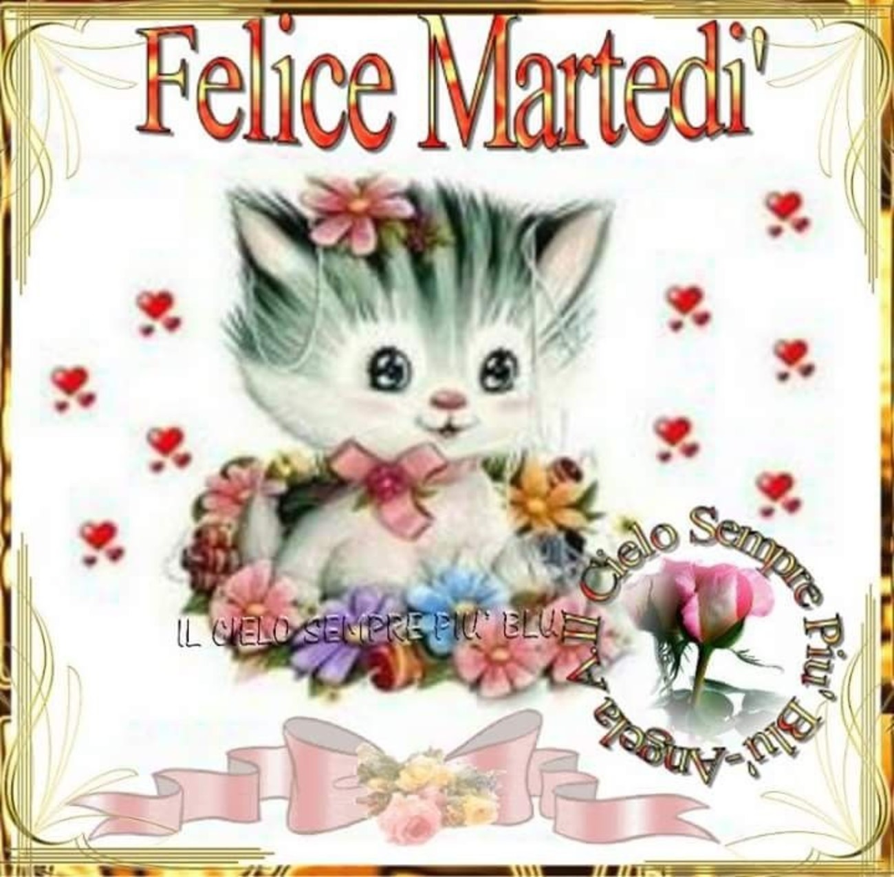 Buon martedì con animali