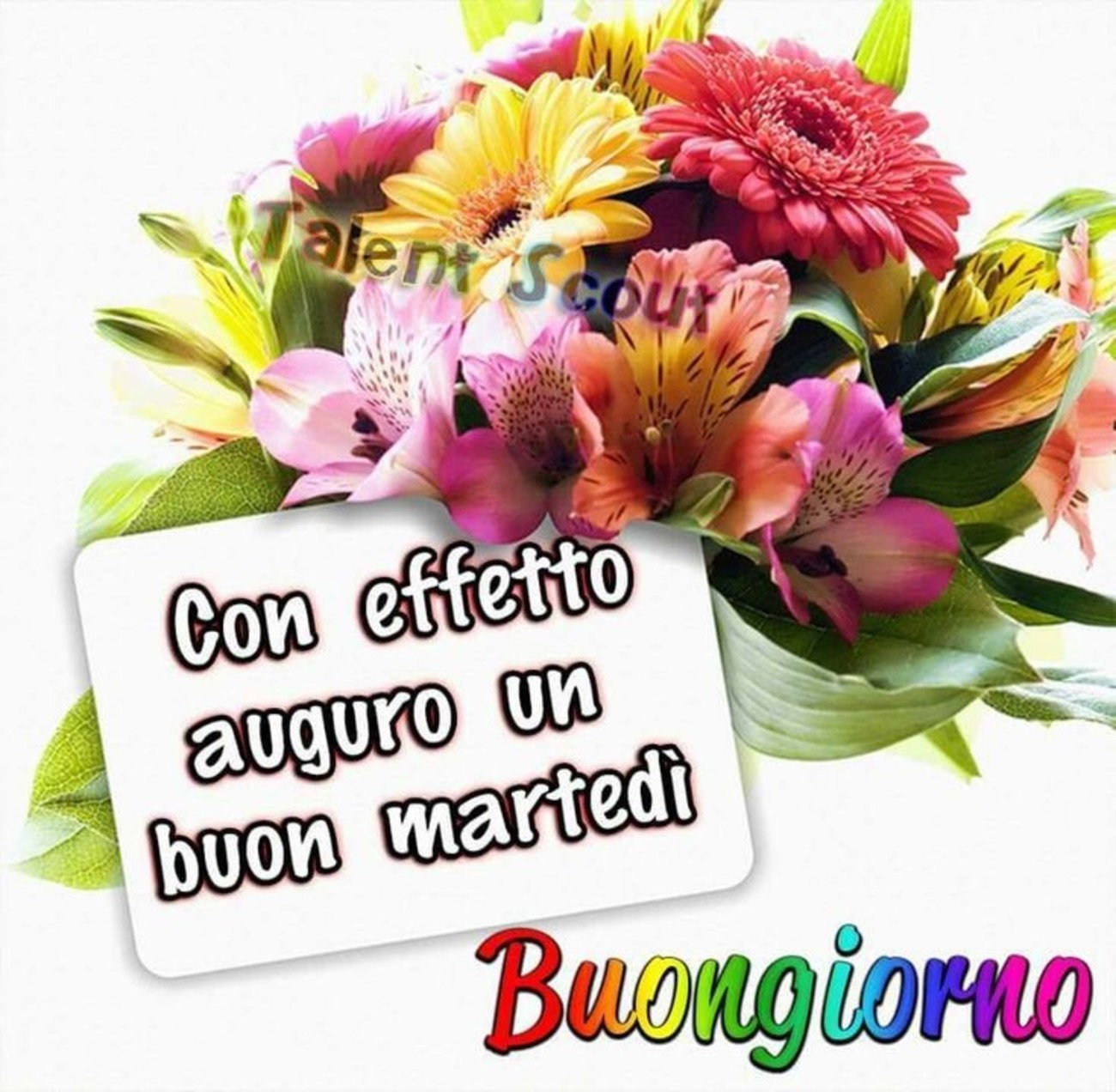 Buon martedì con bei fiori (4)