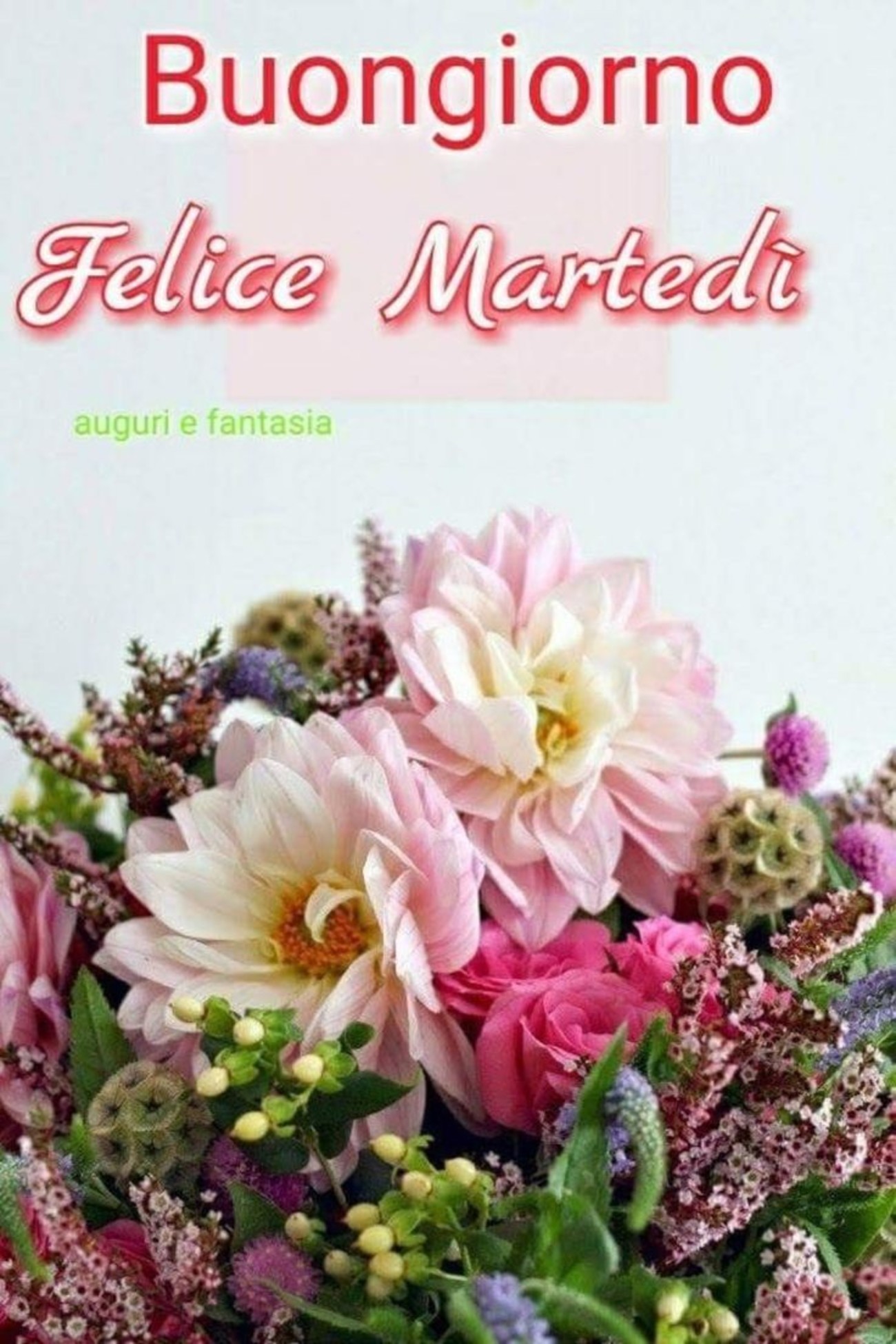 Buon martedì con bei fiori