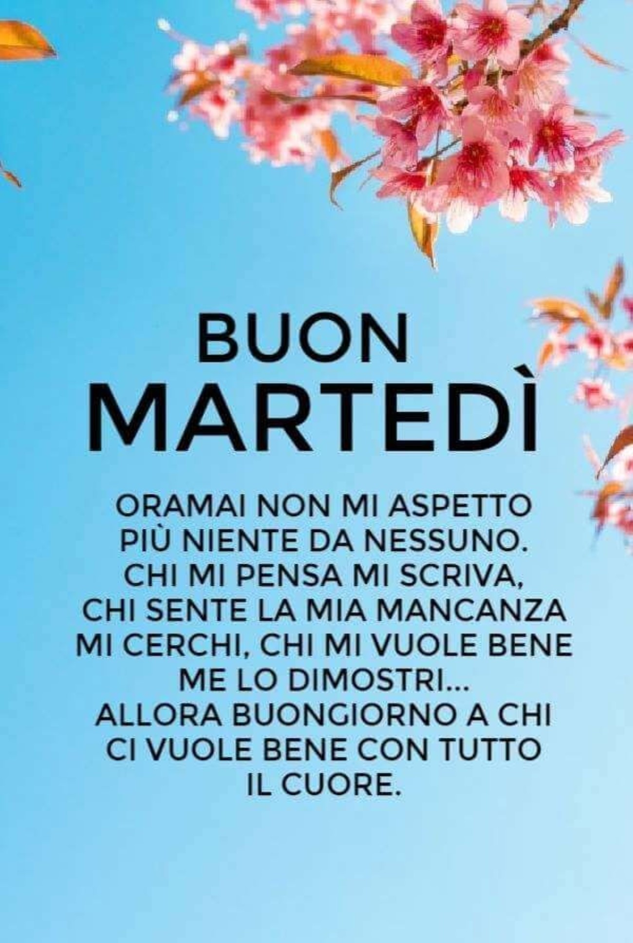 Buon martedì con bella frase